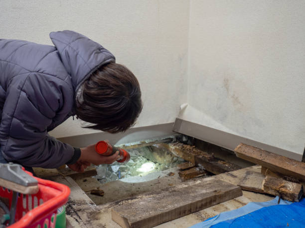 Best HVAC Mold Inspection and Cleaning  in Cresson, TX