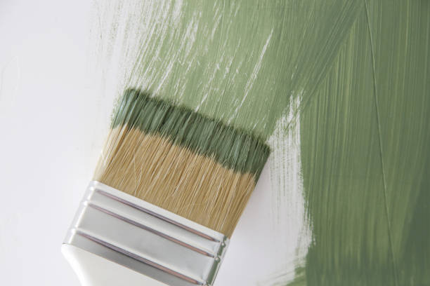 Best Emergency Mold Remediation  in Cresson, TX