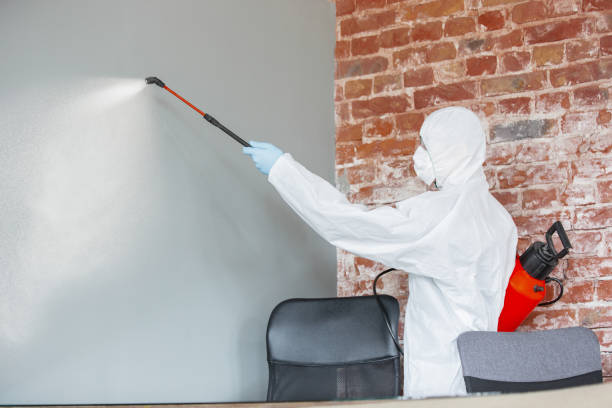 Biohazard Mold Removal in Cresson, TX