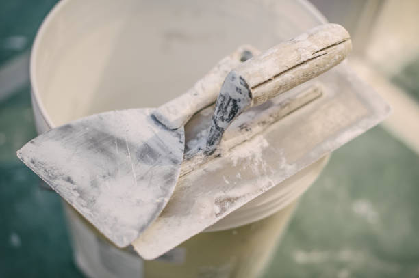 Best Mold Damage Restoration  in Cresson, TX